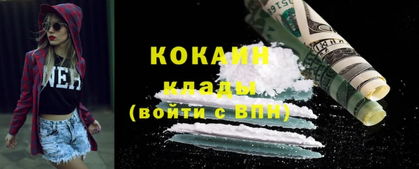 шишки Богородицк