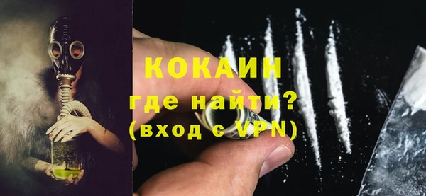 шишки Богородицк