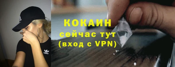 spice Бородино
