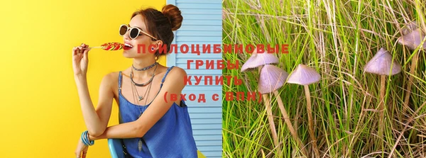 гашиш Богданович