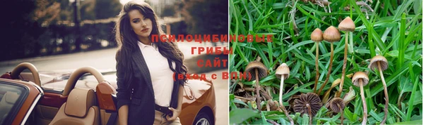 шишки Богородицк