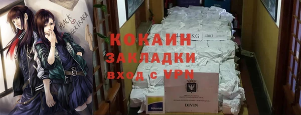 шишки Богородицк
