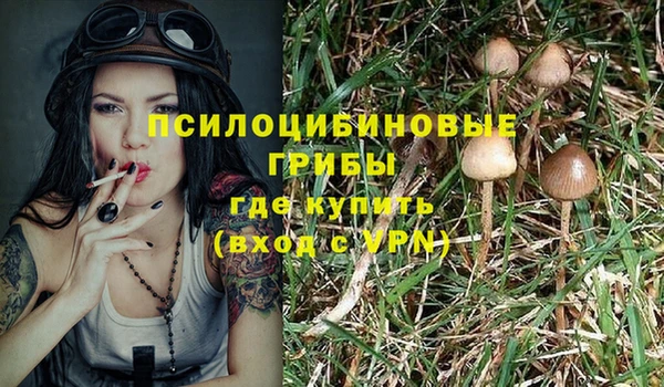 гашиш Богданович