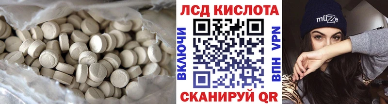 omg вход  продажа наркотиков  Городище  Лсд 25 экстази кислота 