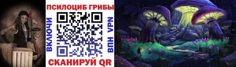 купить наркоту  Городище  Галлюциногенные грибы ЛСД 